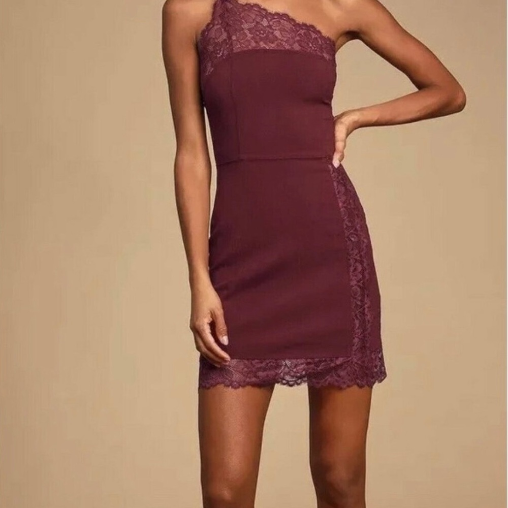 NWT***Free People Intimately Premonitions Bodycon Dress